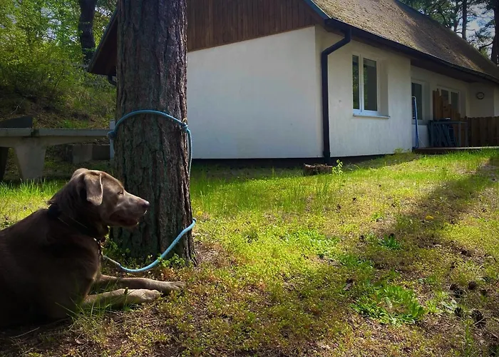 Ferienglück Im Doppelhaus- 60 M Zum Haus 2 Karlshagen